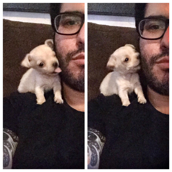 79167c5449aac9d16ae4a6a44d