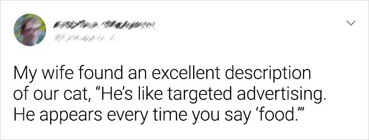 7925025f2f9ccfddd60e9b8fde