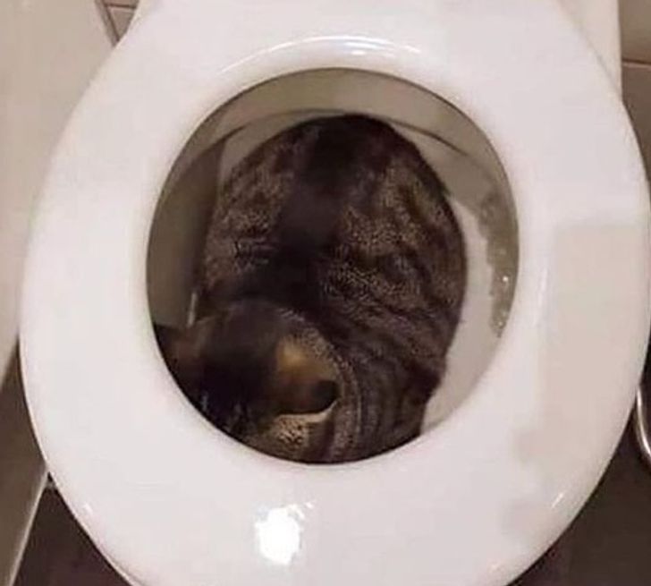 79261e5f13805c484146fe420d