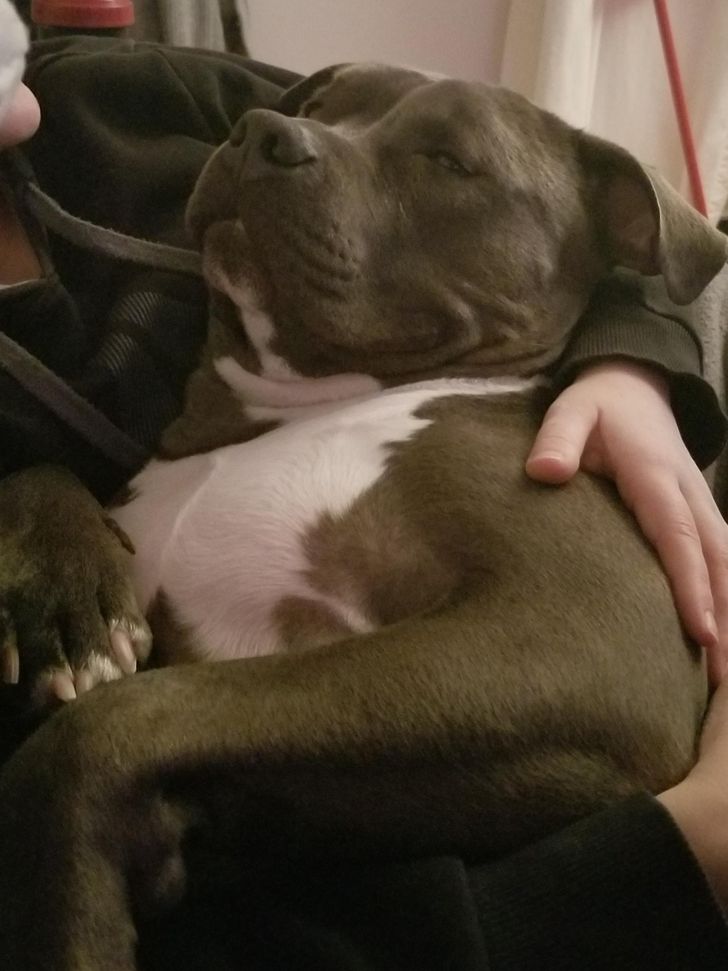 7926e45412bd446fddb2f29df3