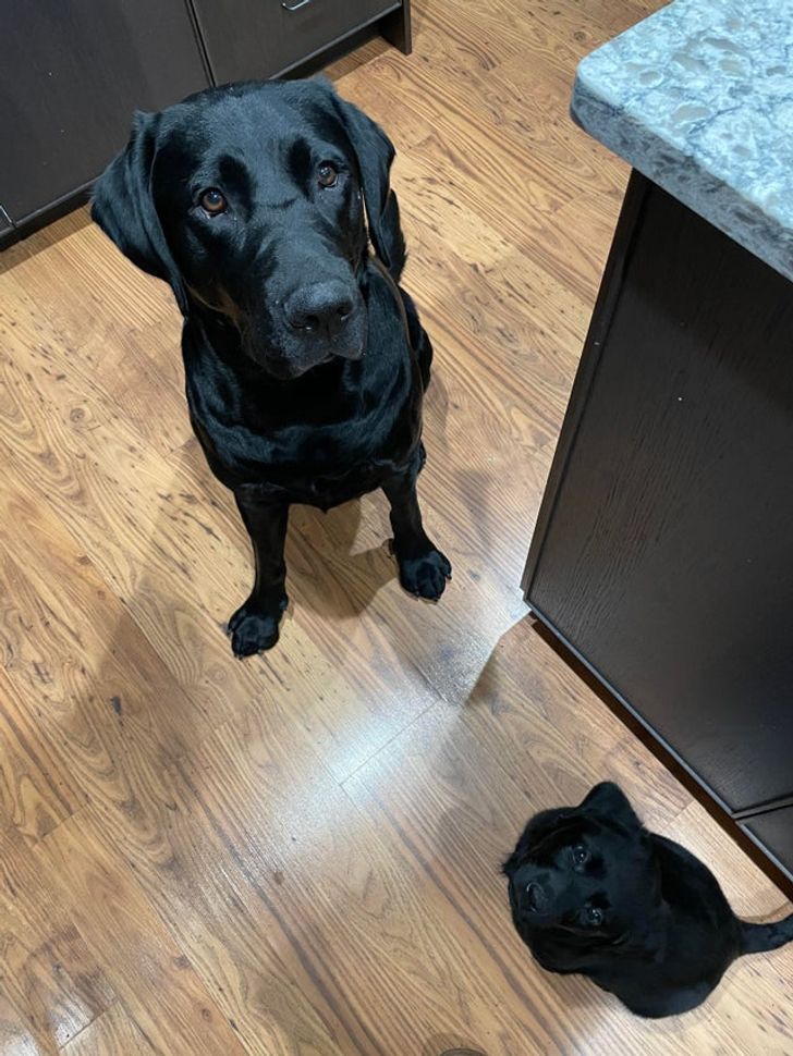 792e205ef08ca5abd3895689f5