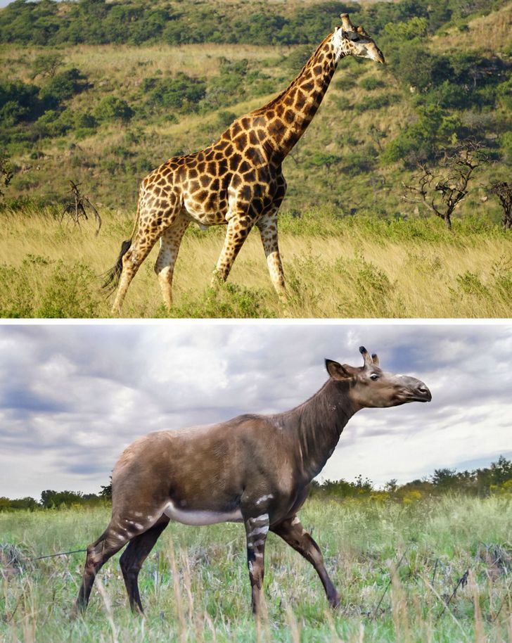 792ec65def93ce94954c8bd35b