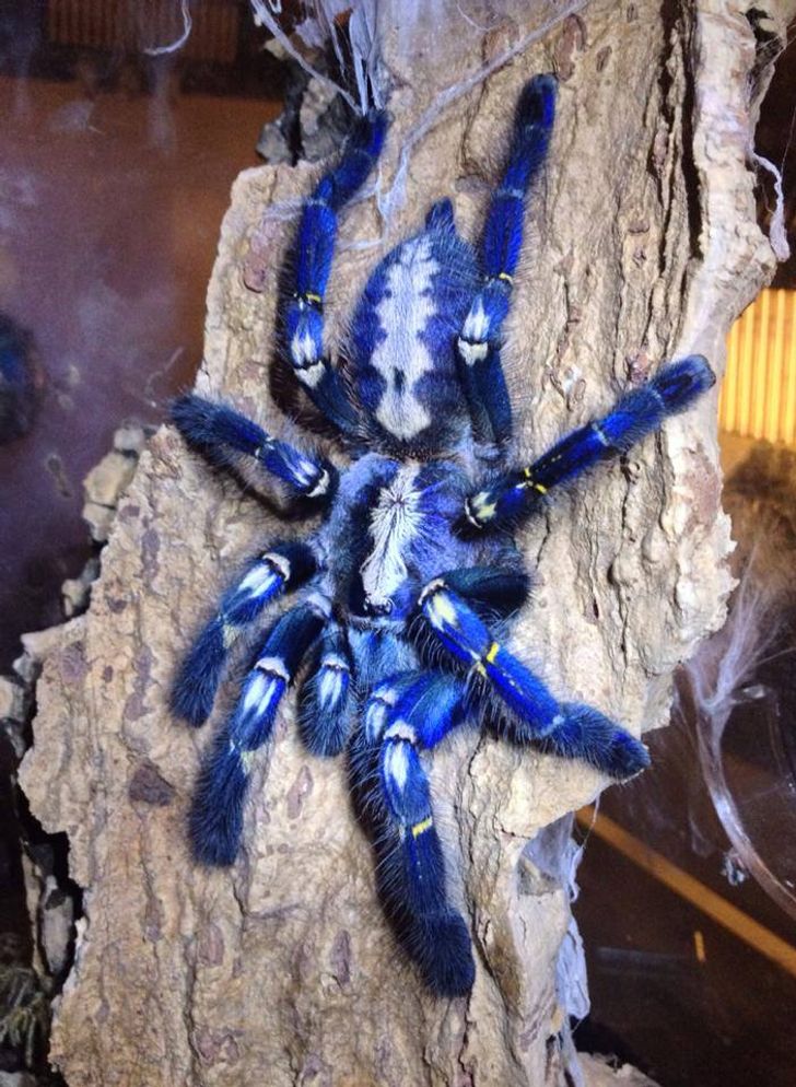 7931b65b1bb317326349047394