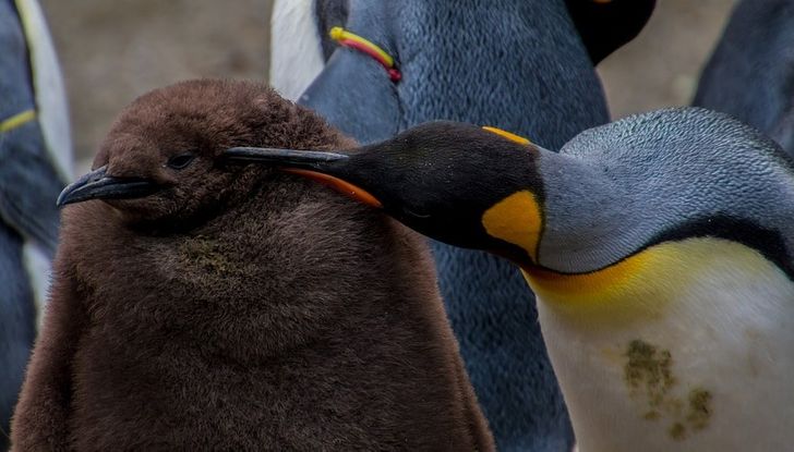 793ddb57f898744fd62fed3ca8