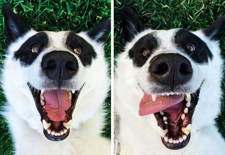 79473a58dea85aa080d849431b