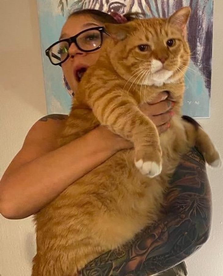 794df65c148b3a3d1620f24536