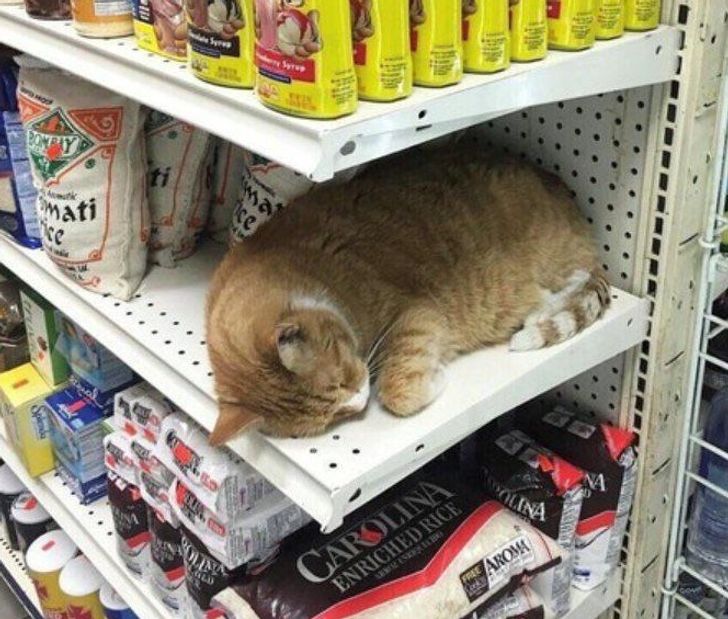 79553c5cfabb03da726a762469