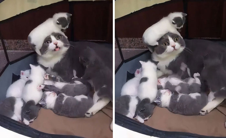 7956da58b9a6f39627bd62c64b