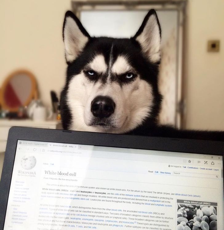 7956f75f7ca333ed952787980a