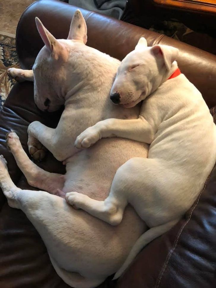 795ef75833a8c85dce5984bd14