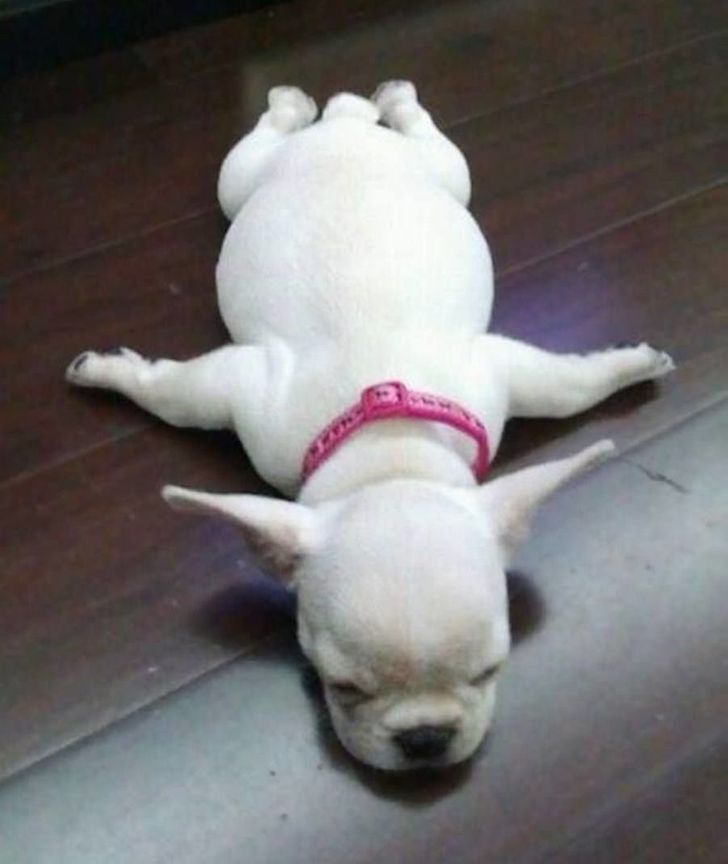 795f7f53e299bf587cb009dea6