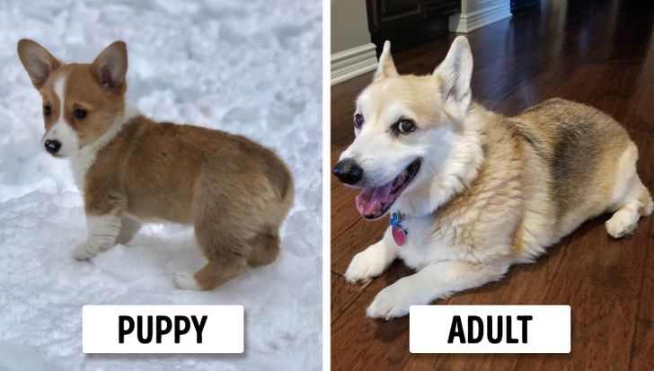 7961745f19a5771d2a7deabd2d