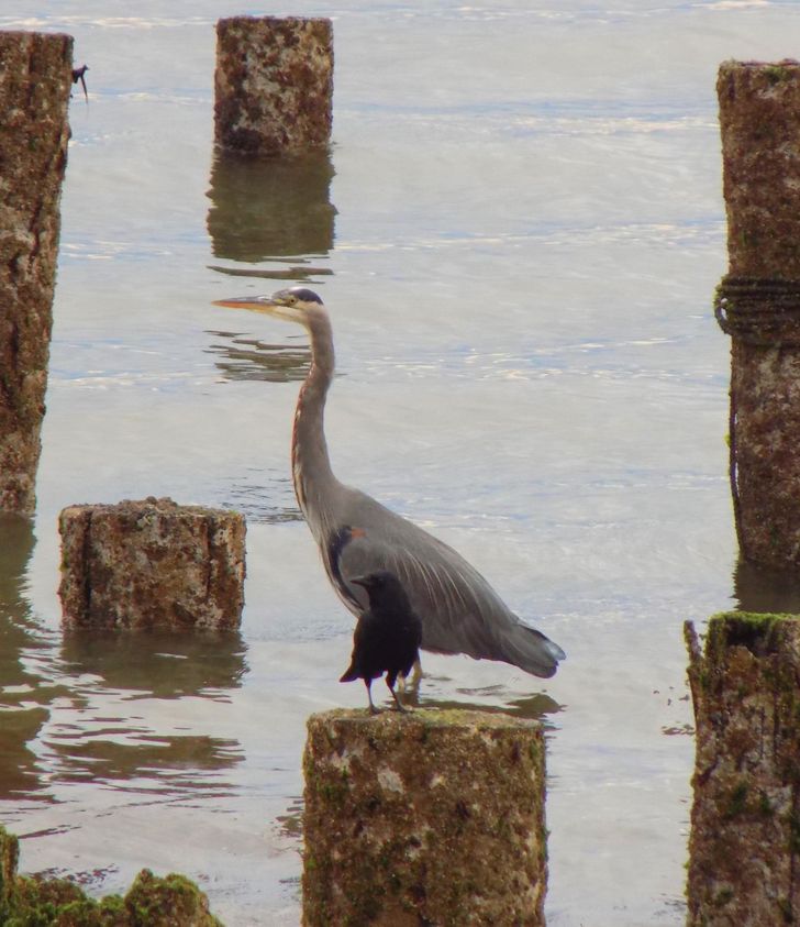 796d48513688c1217968f0246c