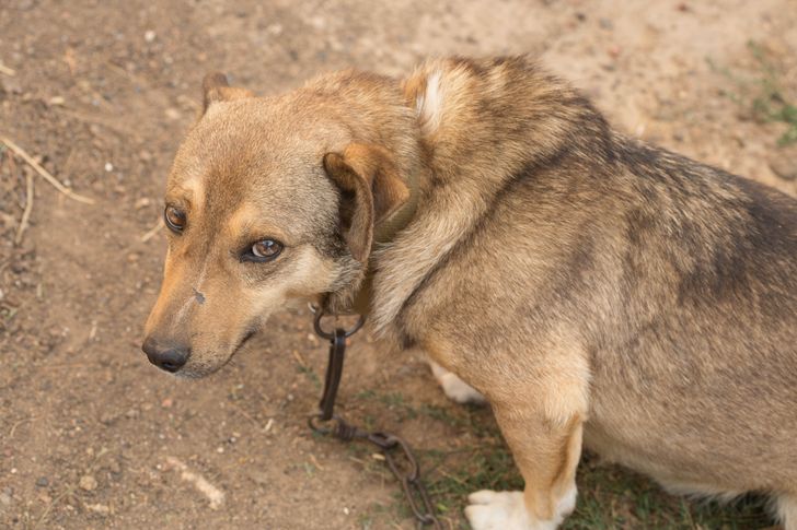 796e295e29bfaf5dc6f8763d08