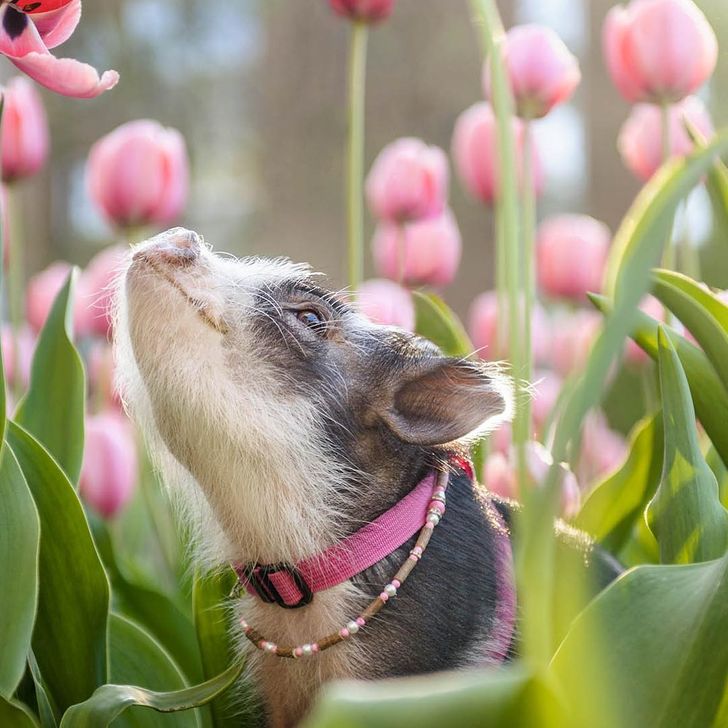 7988025bb1826357e9f41a9f9d