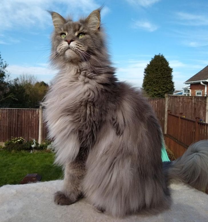 798e835215a5d2591a5c3c647a