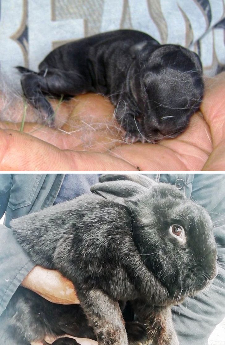 7993535c7ab68617a31ed1cdfc