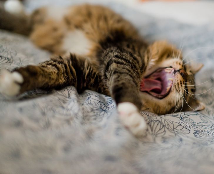 7994ca5e57ad2d2a046342225a