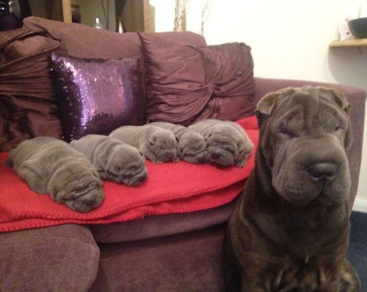 799d1d50d38ce8440a85adb3d9