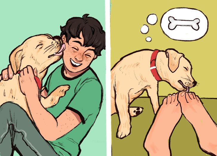 79a18e5d30a1e6f51caec3abba