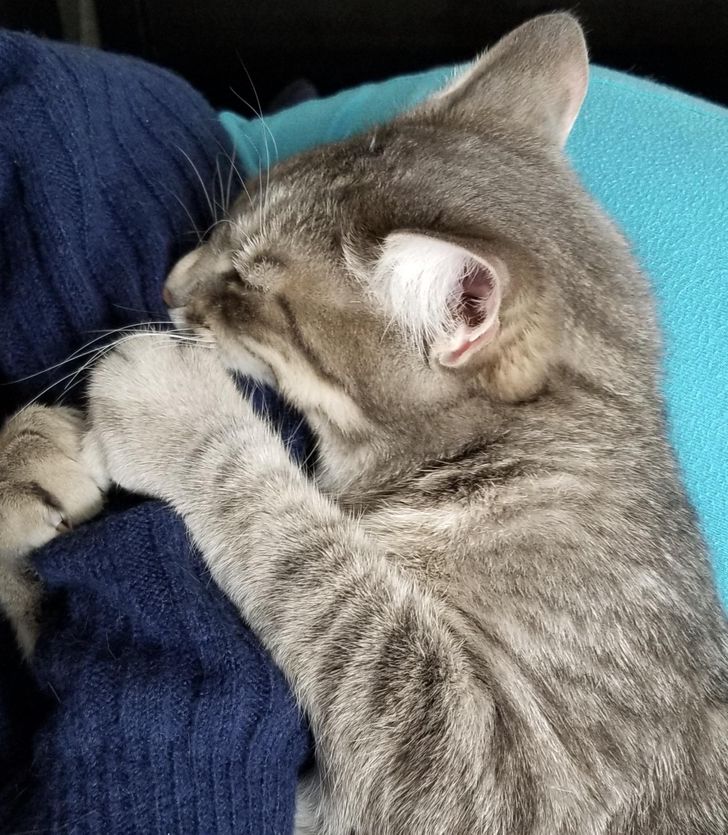 79b8065a7d88862fc1e0a10d4f