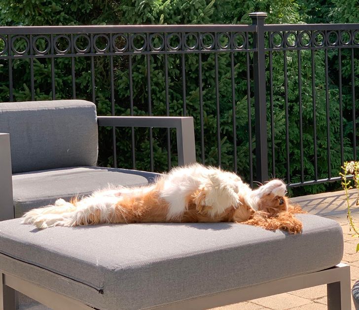 79bc595b318e287014edd9a3c9