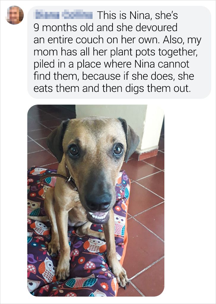 79be055440a8b2eb02a58bdf8e