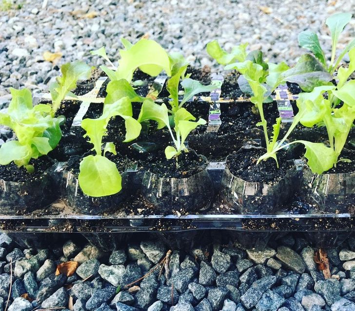 79c7e15707a68fccd62e536c27