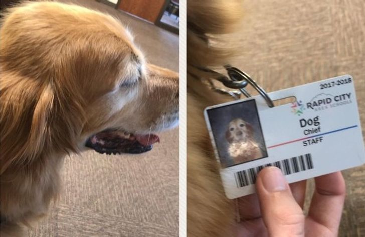 79c8f55efebb84425b738a8e05