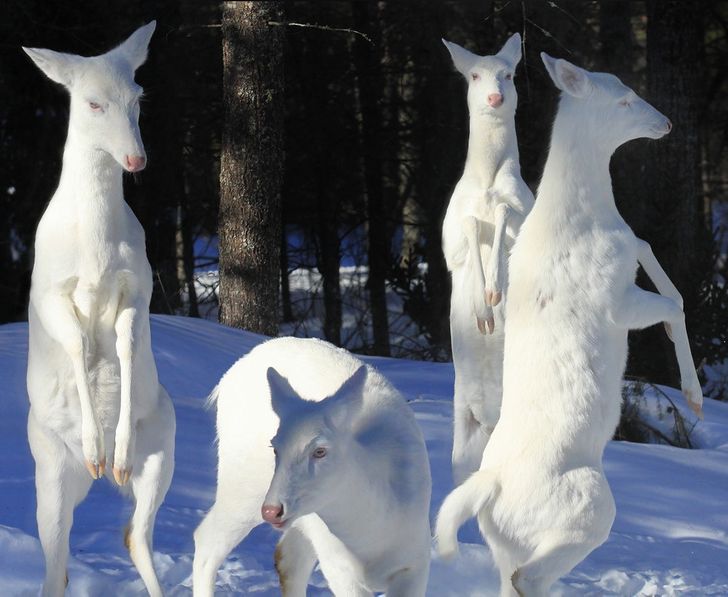 79cd755c6dbb127dc68f711493