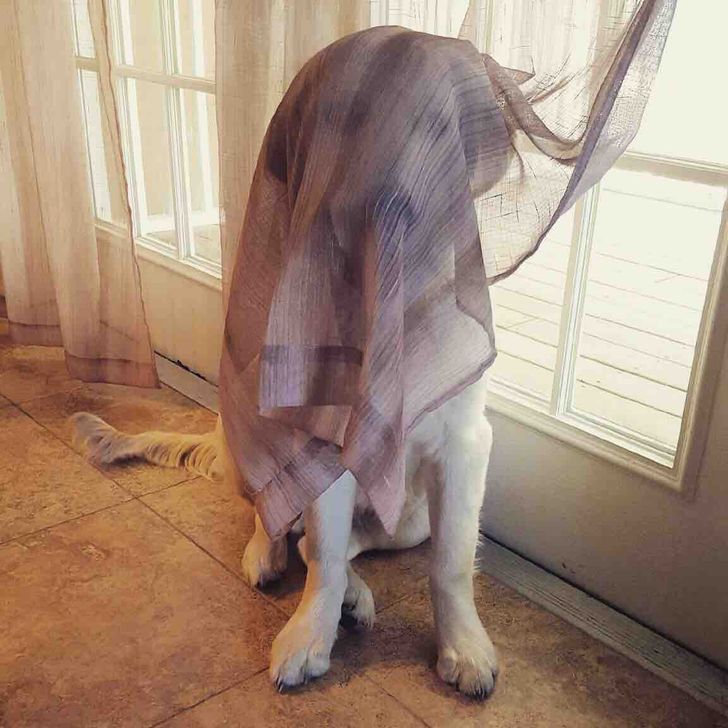 79cf6b539c9ab73c74f5af0103