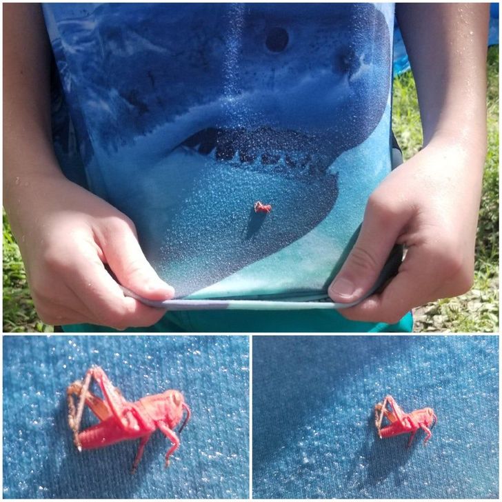 79d14a54828d7b67554a7ee41a