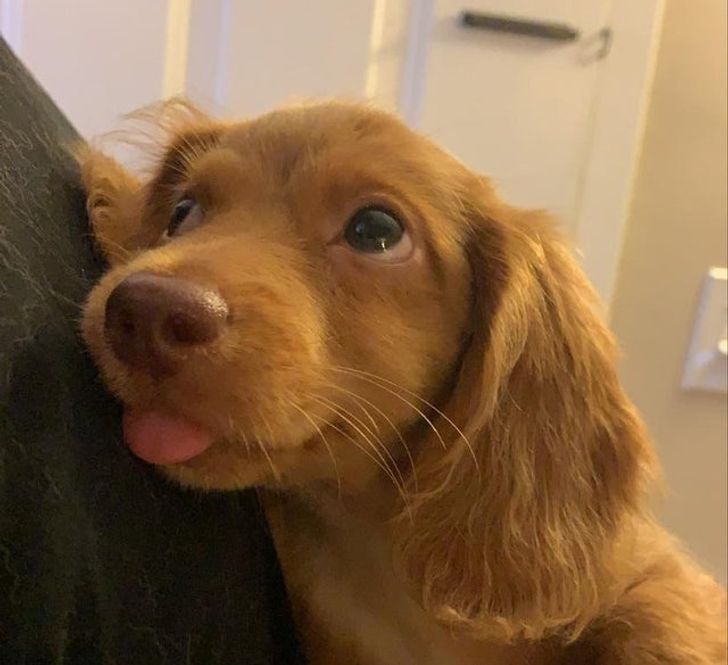 79d3185e4dad1f9362b251f404