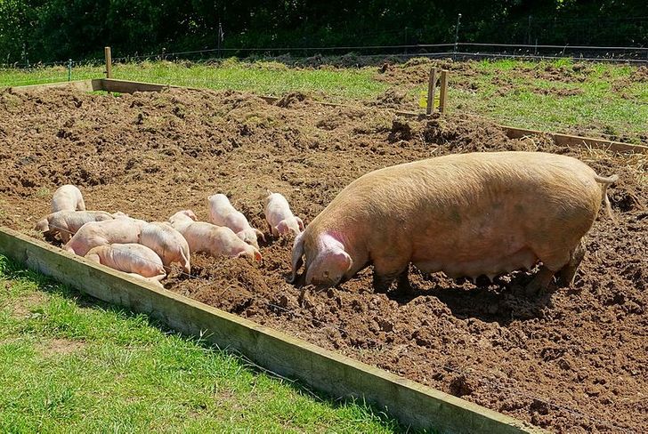 79d3df54069b31082b9f143e0e