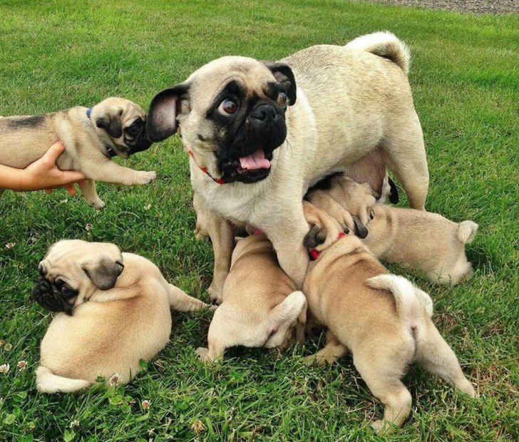 79d50b5de0913b7faff7b76c6e