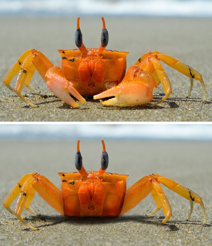 79db585154aa90e18be92ff3de