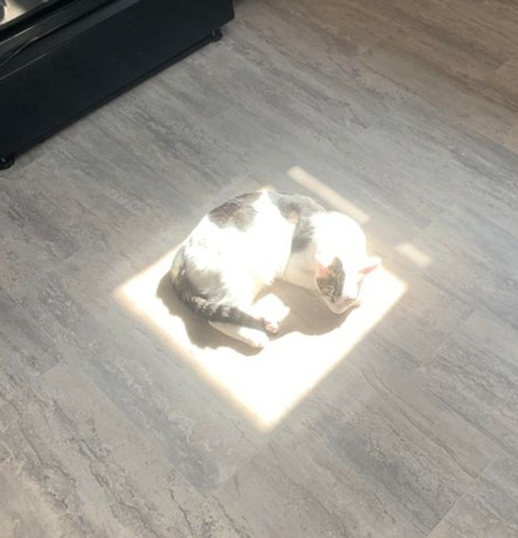 79dea85a6ba65448e11c52f62d