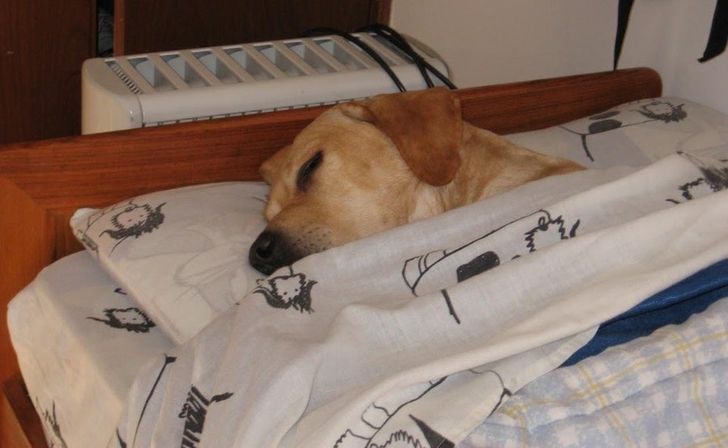 79e0da532a8f9365000e0395b2