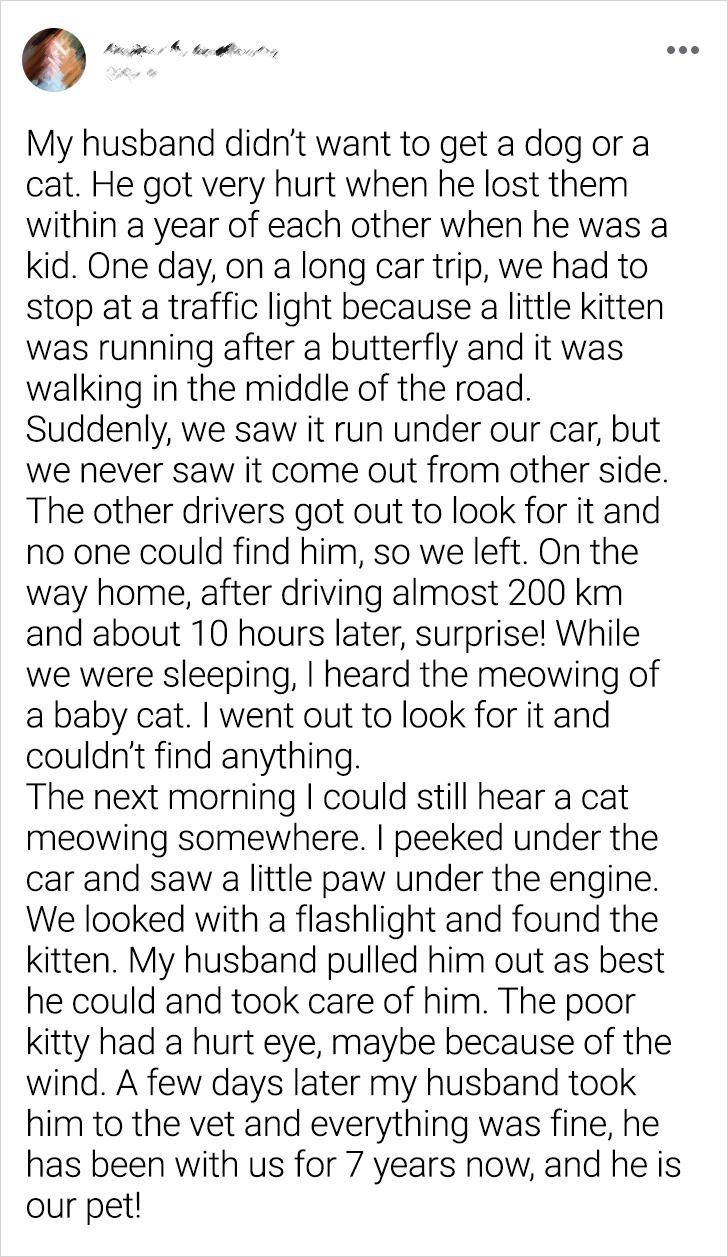 79e2525668a73fa820a951869a