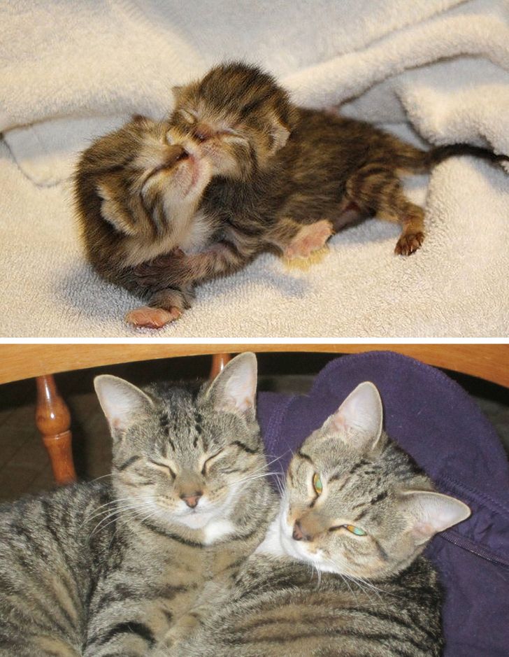 79e4255d95ae0a00308b9824e0