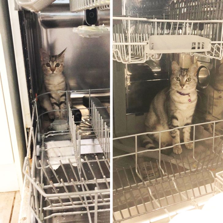 79e59654b5a48c24b901fc4da2