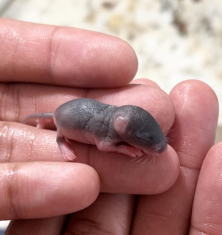 79e6285acda8a6abb9698fab1f