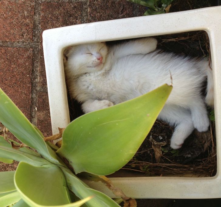 79ece4539ba2d81a660678ff76