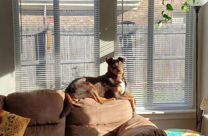 79f3a85544b08394dab867768d