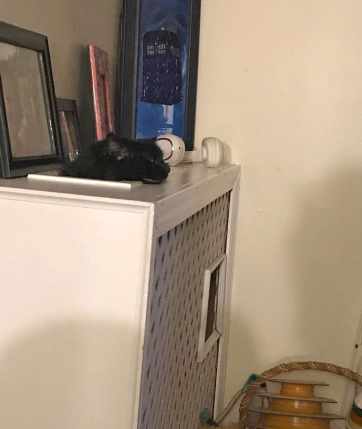 79f4915bd8af76acab41d80474