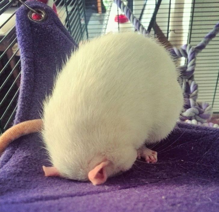 79fd3b519ba648422c041e3478