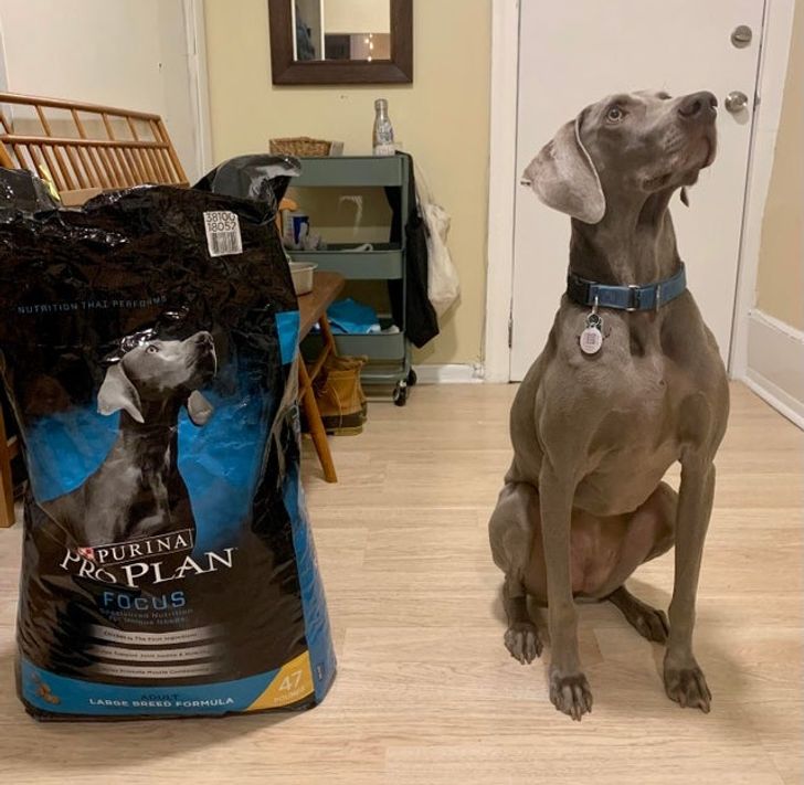 79ff5c5638a32795ccb225ff94