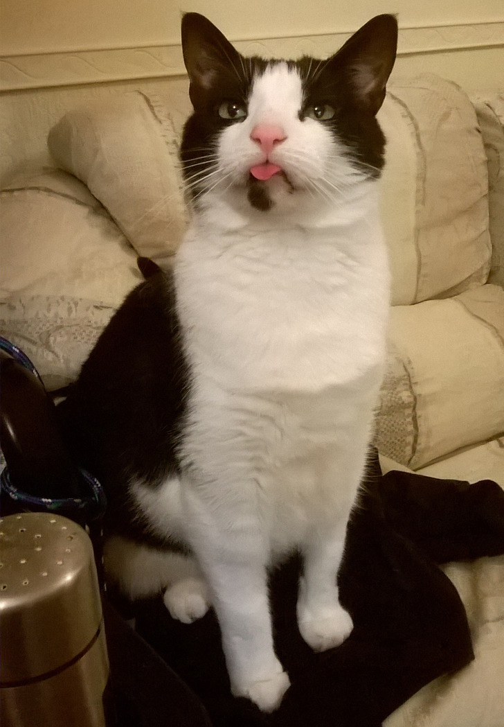 7a04e6522abe46ee078f1b8d80 7a04e6522abe46ee078f1b8d80