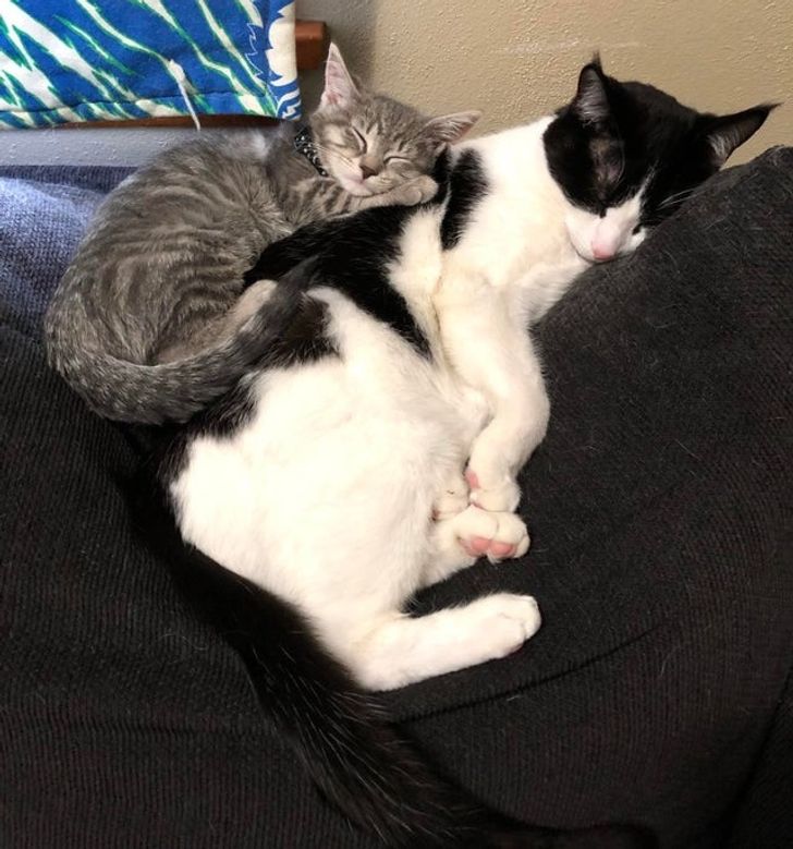 7a12dc5248a31d4503e23a9cb7