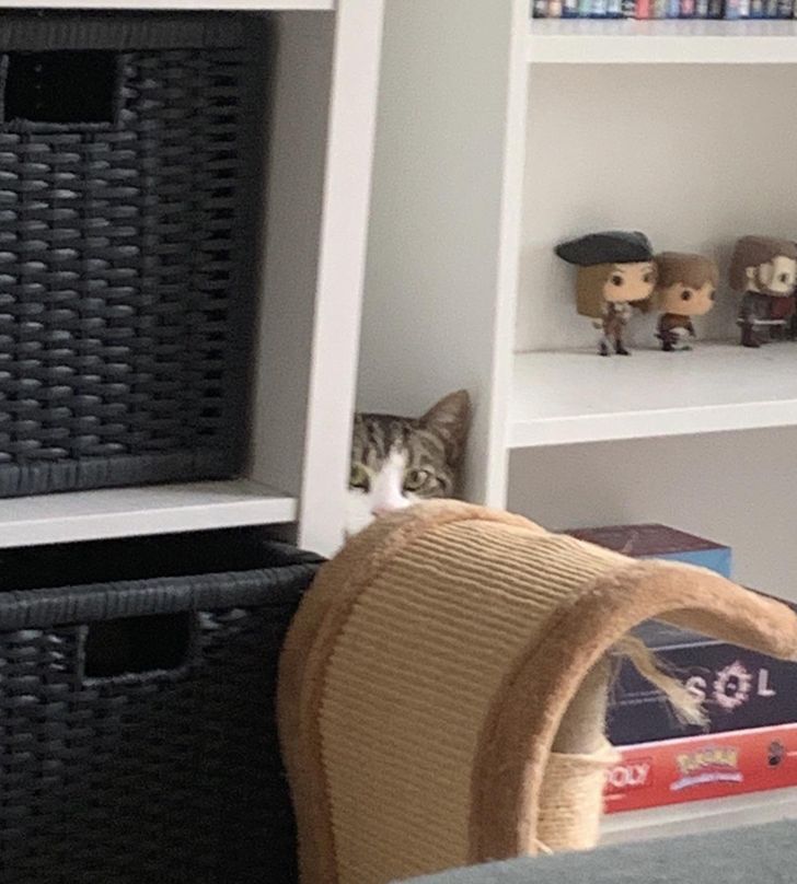 7a1b08596db1b788c4ced95235